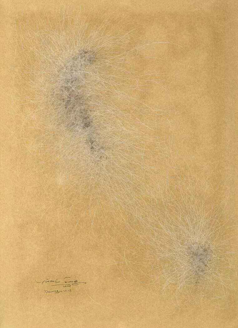 Fine grey lines on a pale ochre background.